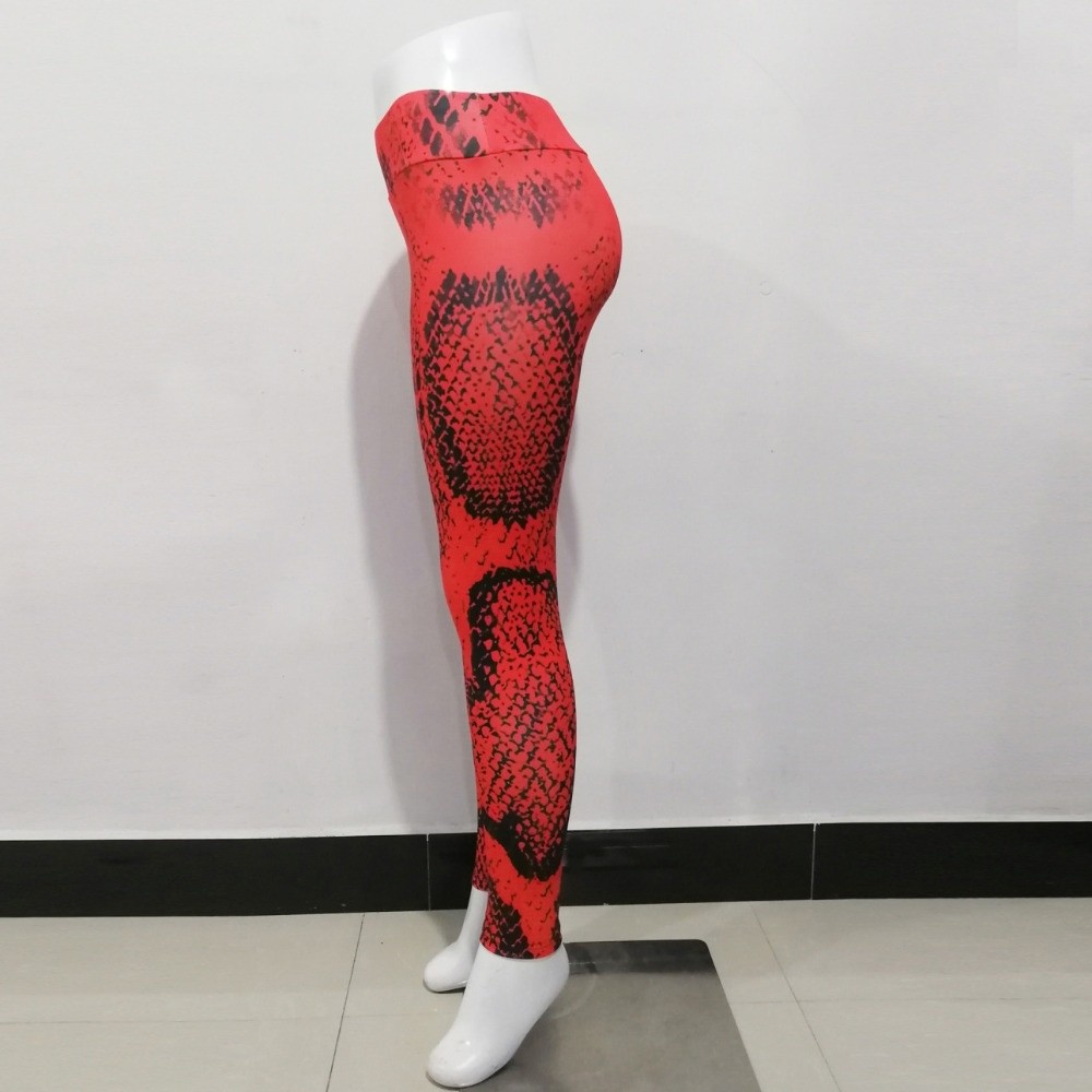 Leggings con Stampa Serpente,  - Pilates Yoga Legging recensione e prezzo